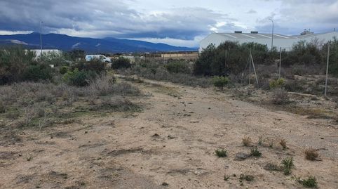 Parcela Rustica en el Poligono Industrial de Cantoria, immagine 3