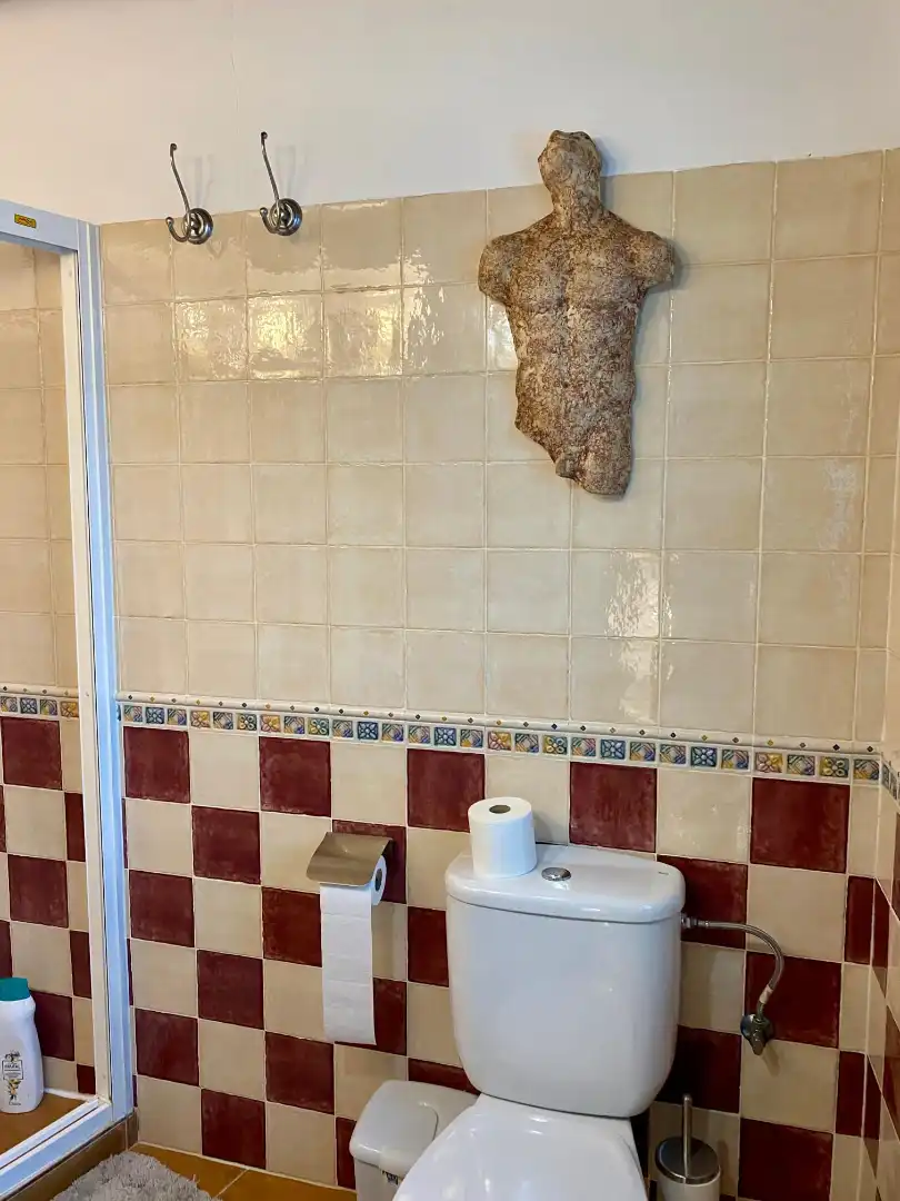 Bathroom of Houses for rent in Almáchar  with Furnished, Oven and Microwave
