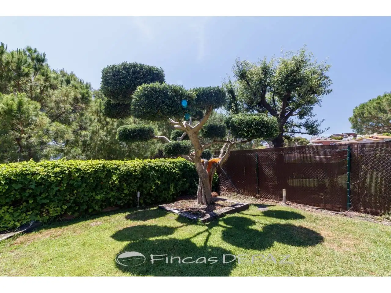 Jardí de Casa o xalet de lloguer en Castelldefels amb Aire condicionat, Calefacció i Terrassa
