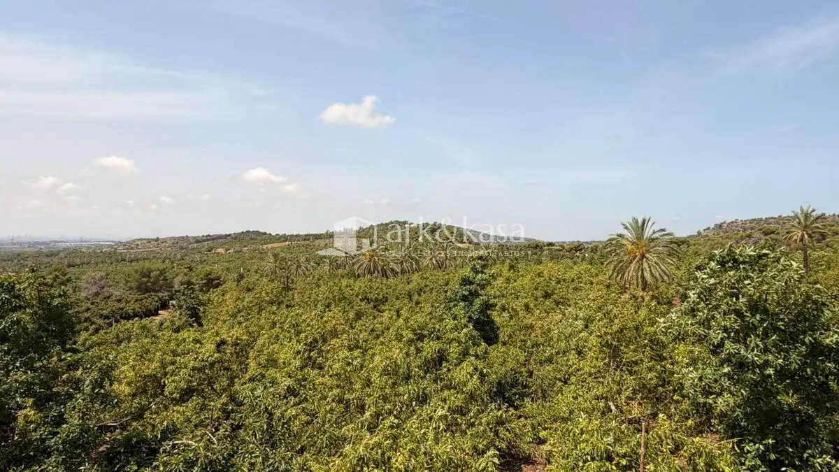 Casa o chalet de alquiler en Sagunto / Sagunt con Aire acondicionado, Jardín privado y Terraza