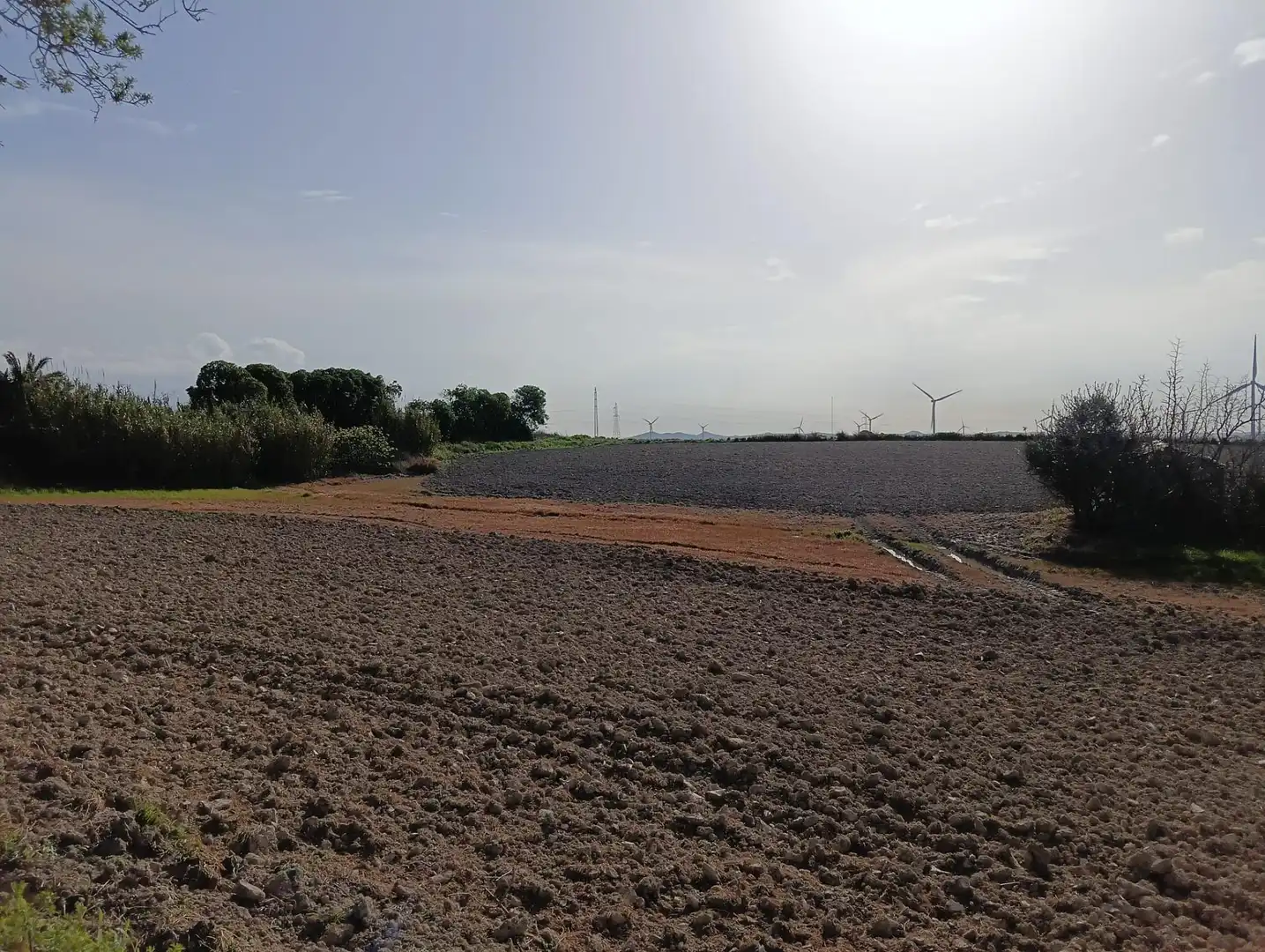 Rustikales Grundstück zum Verkauf in Los Franceses – La Vega, imagen 4