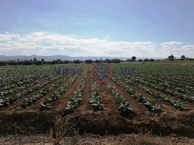 Terreno residencial en Venta en Poligono 63 Paraje 1056 C Nueva, -1 en La Hoya