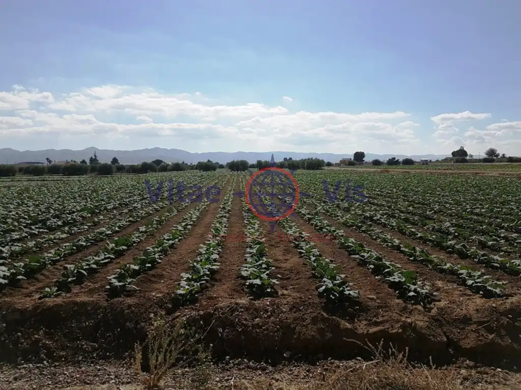 Terreny residencial en venda a Poligono 63 Paraje 1056 C Nueva