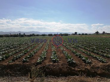 Terreno residenziale in vendita a Poligono 63 Paraje 1056 C Nueva