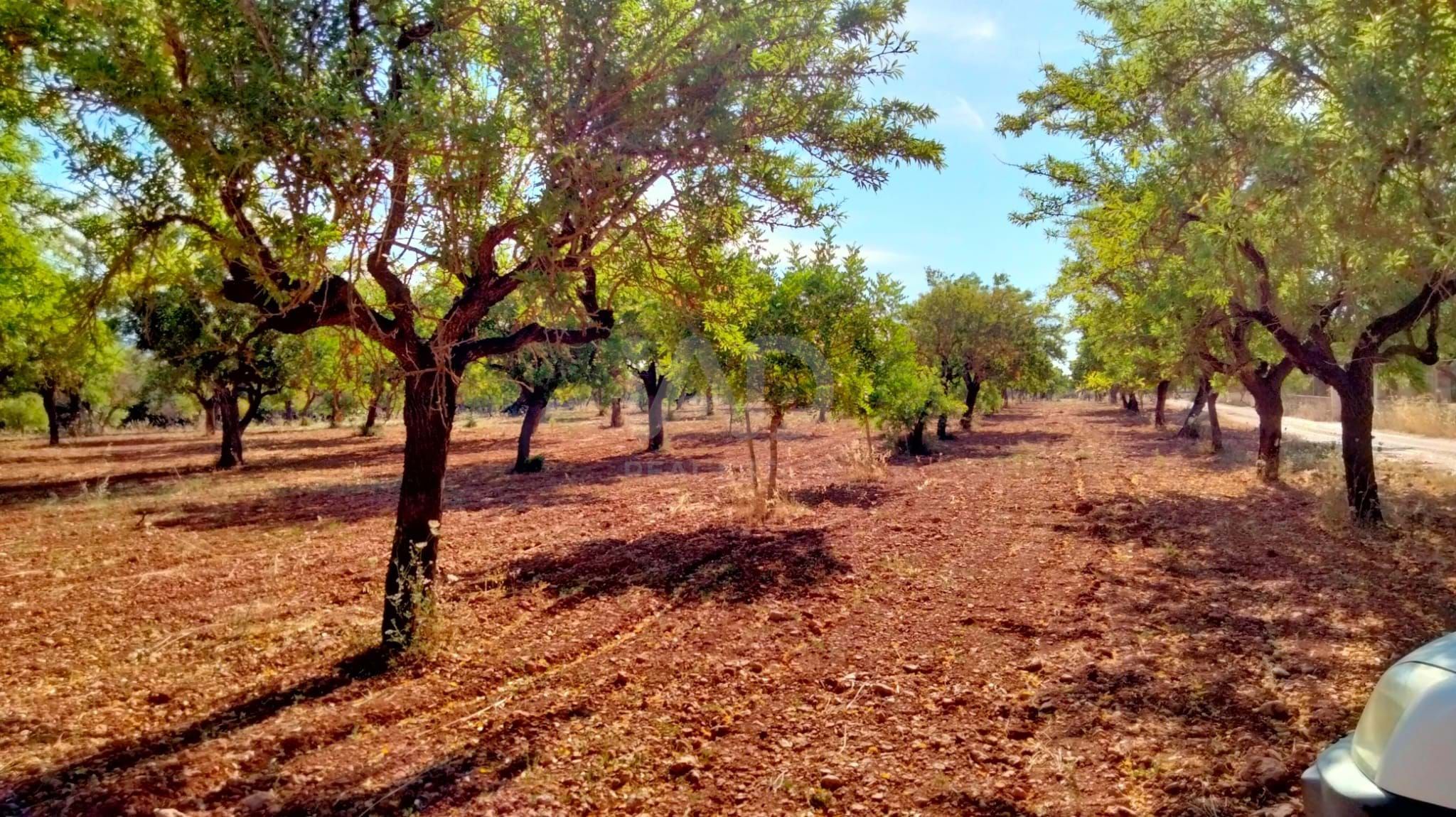 Residential for sale in Marratxí