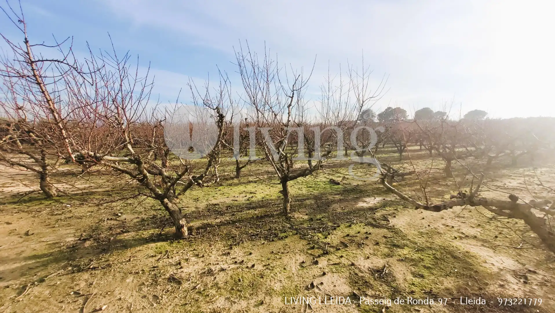 Finca rústica en venta en Fraga con Jardín privado, Trastero y Amueblado