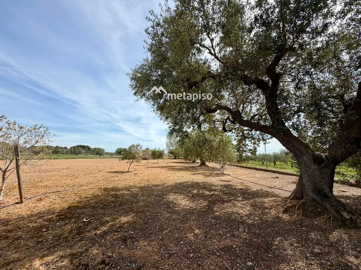 Terreno rustico in vendita a Santa Oliva, imagen 69