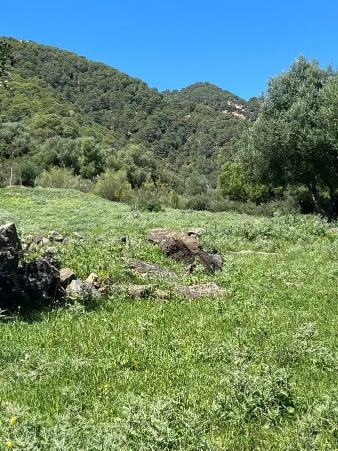 Casa rústica en venda a Gaucín, imagen 6
