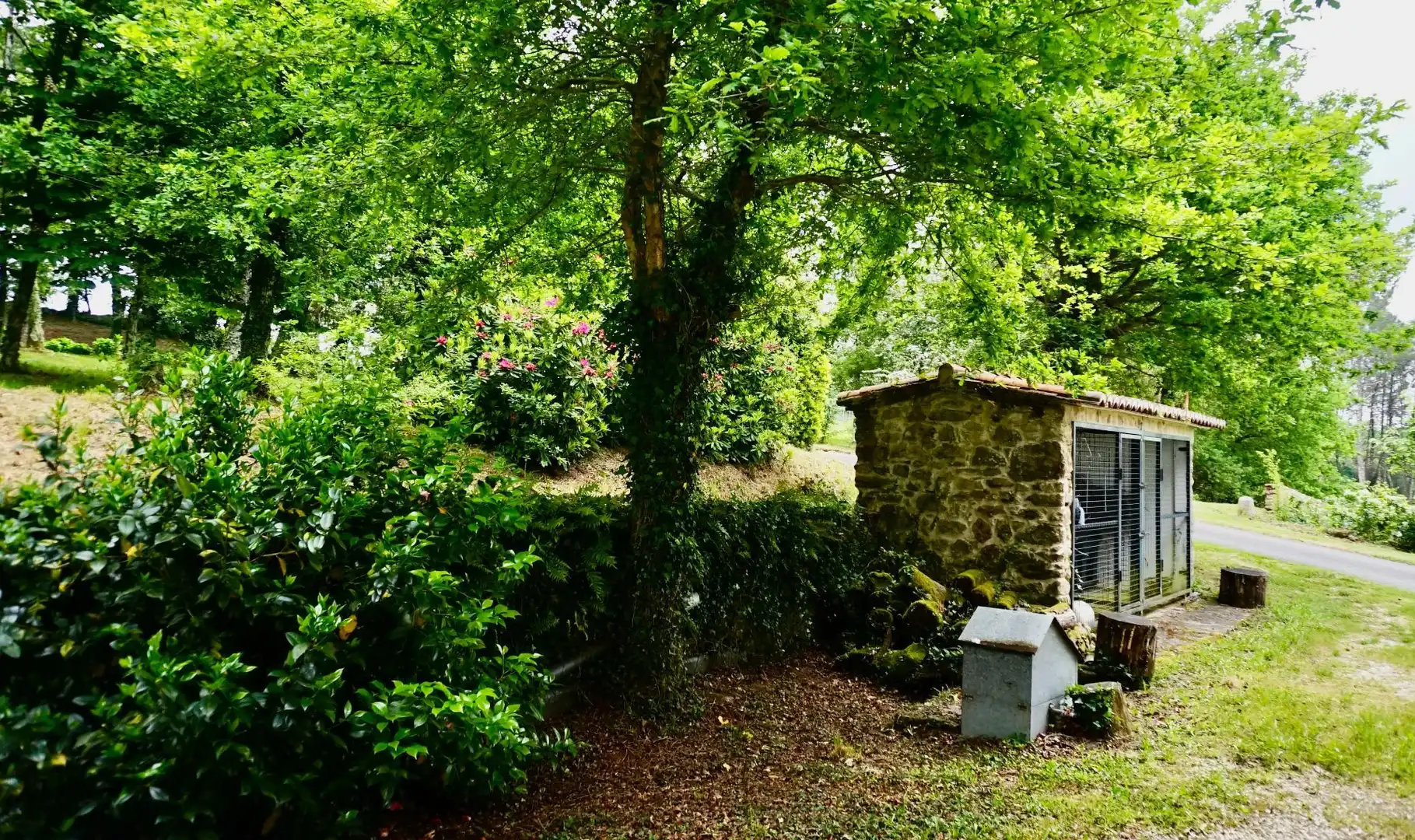 Casa con jardín en venta en Paizás, imagen 36