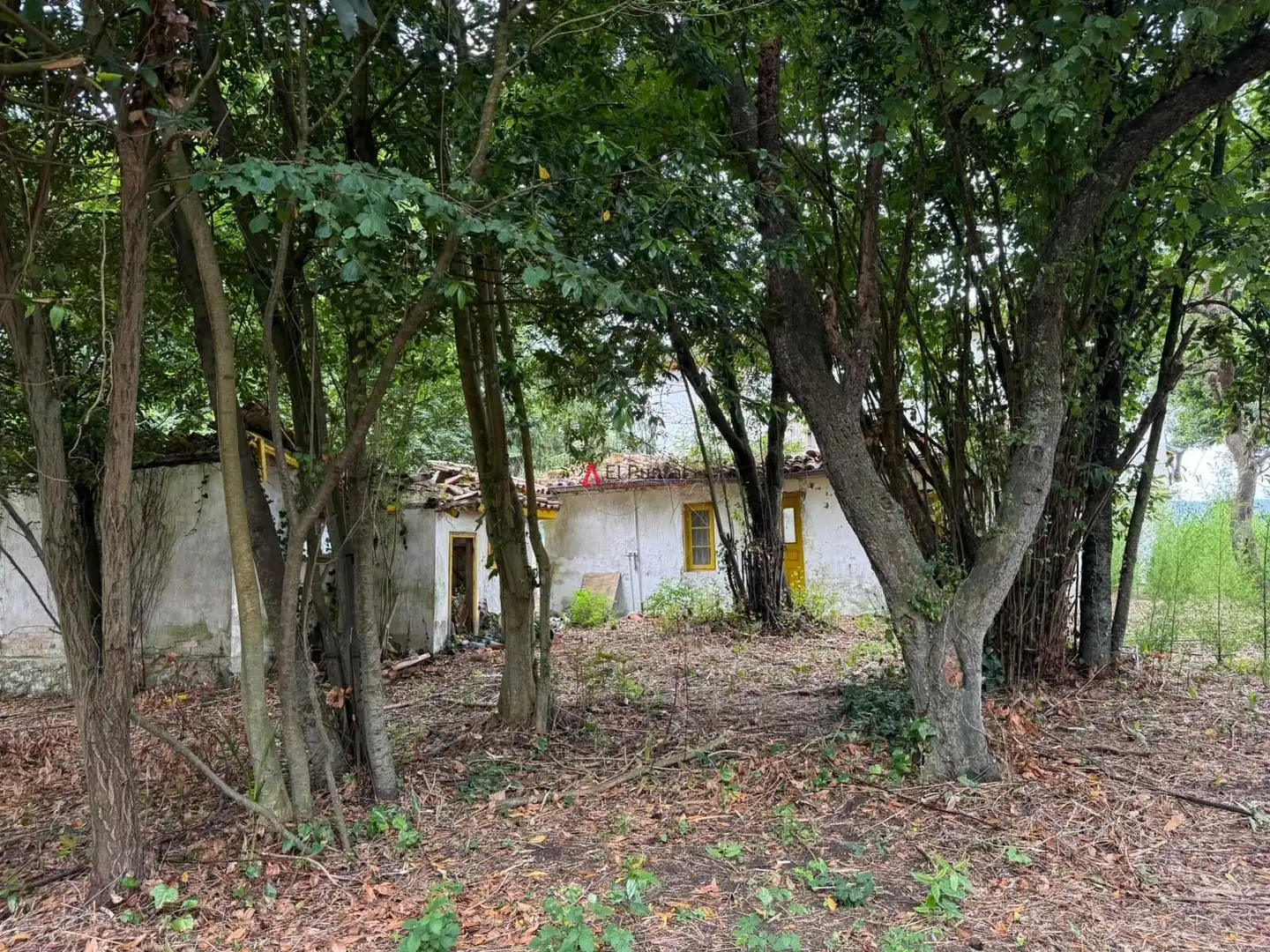 Casa en venda a Ribamontán al Monte, imagen 20