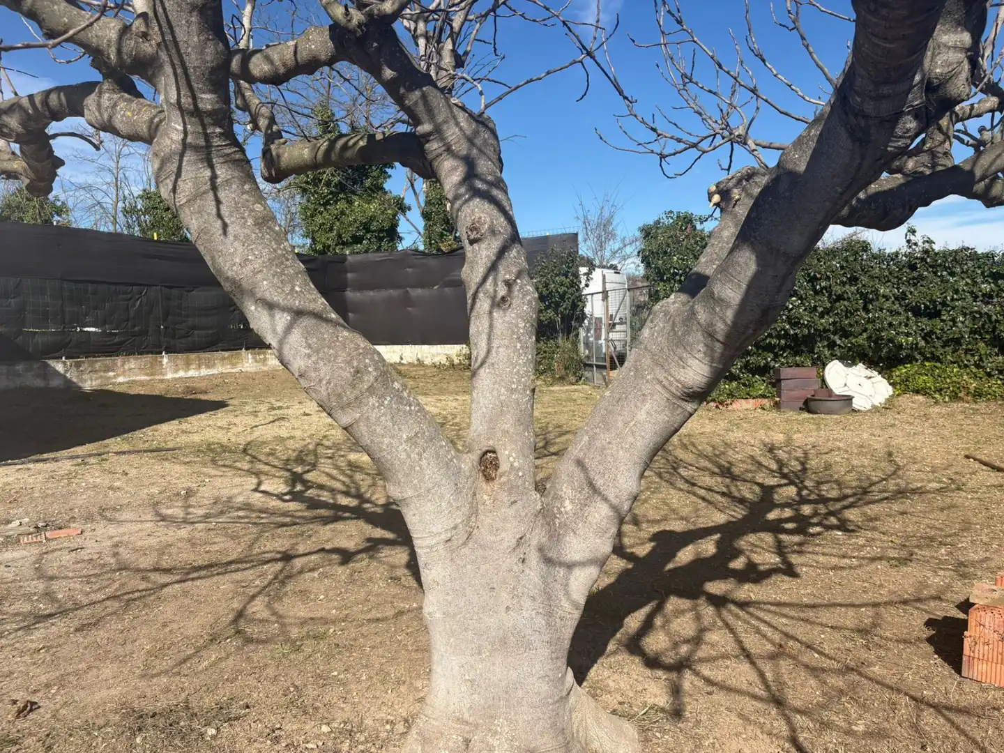 Jardín de Terreno en venta en La Roca del Vallès