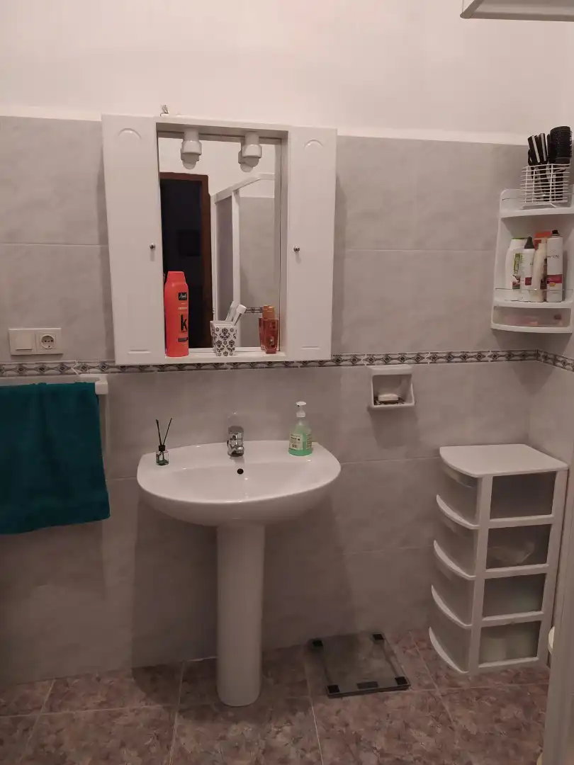 Baño de Casa o chalet en venta en Siruela