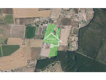 Terreny rústic en venda a Viana