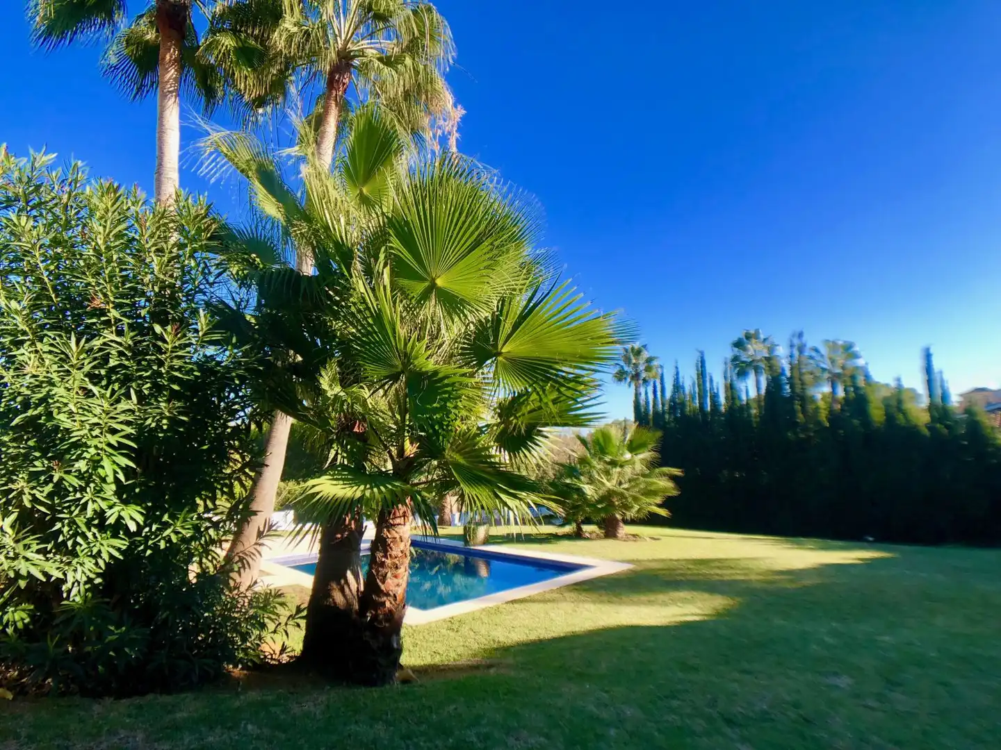 Chalet con piscina en venta en Avenida de las Golondrinas, imagen 36