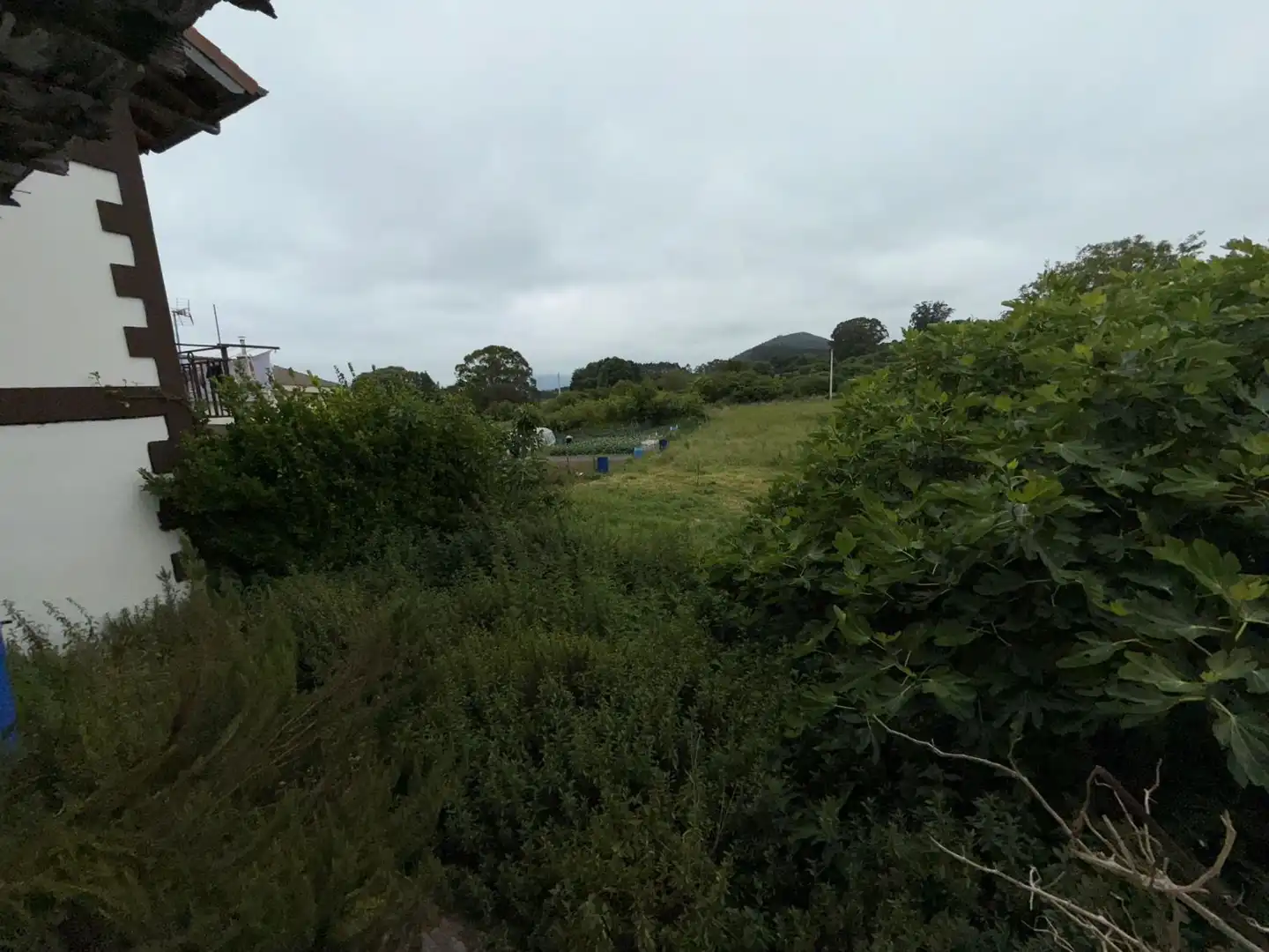 Houses for sale in Argoños 