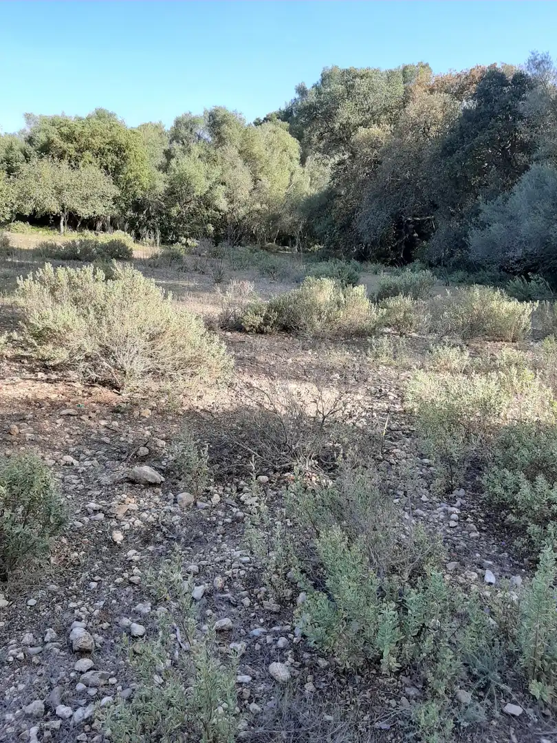Terrain rustique à vendre à Sant Joan, imagen 7