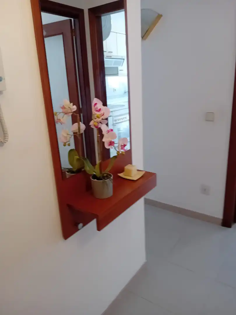 Appartement avec terrasse à vendre à Avinguda Catalunya, imagen 15