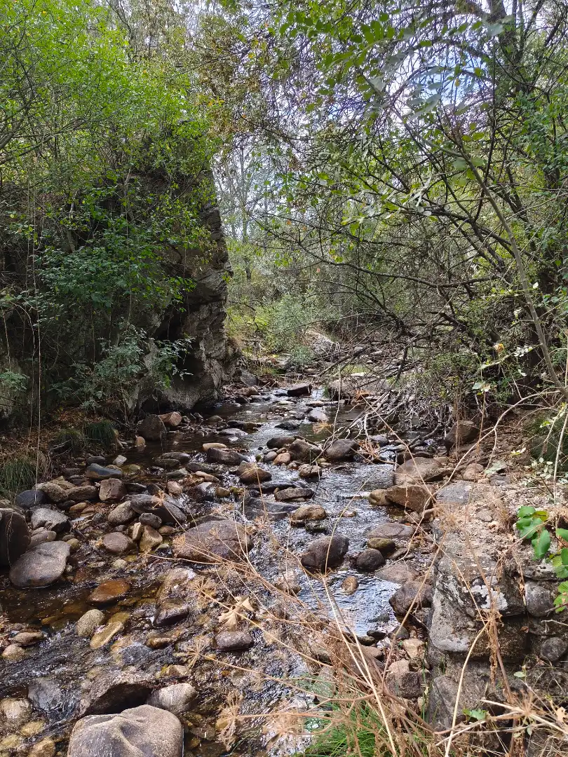 Vista exterior de Terreno en venta en Piñuécar-Gandullas
