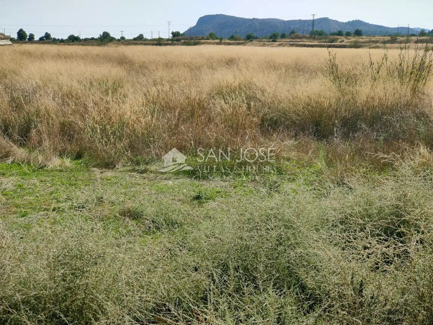 Terreny rústic en venda a La Romana, imagen 6