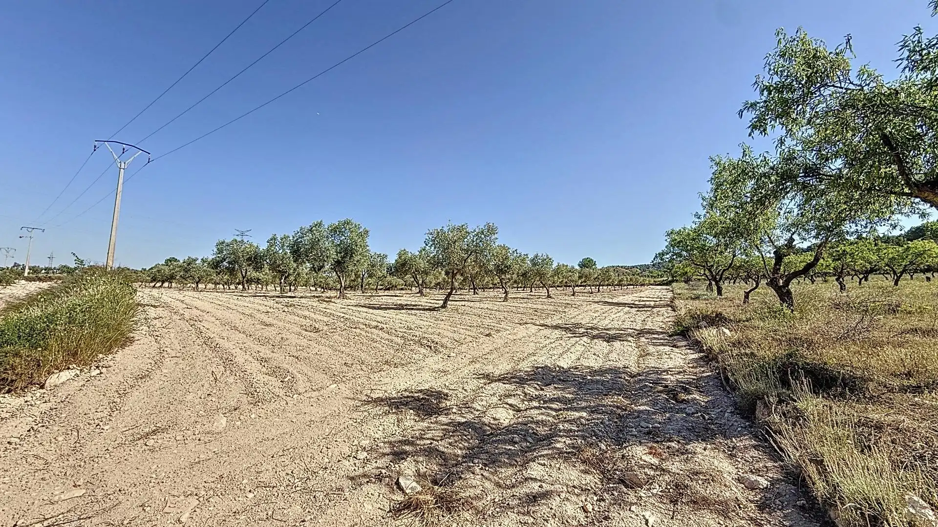 Land for sale in Biar