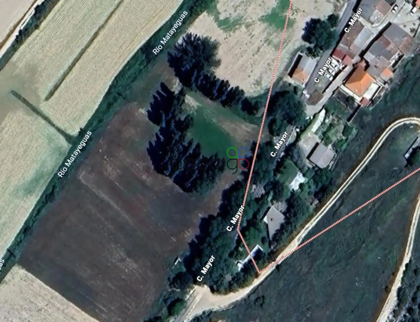 Rural land for sale in MAYOR, imagen 8