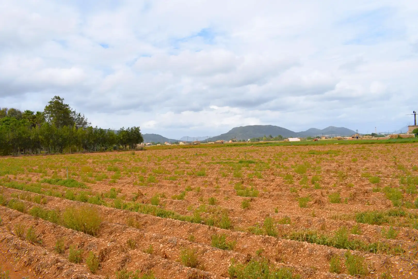 Finca rústica en venta en Sa Pobla con Jardín privado