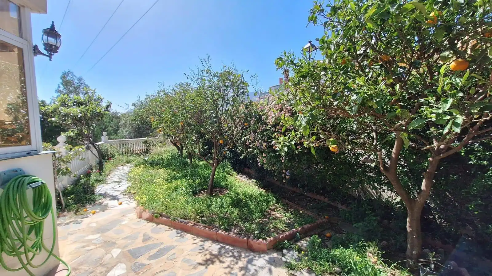 Garden of Detached homes for rent in Montealto - Monterrey
