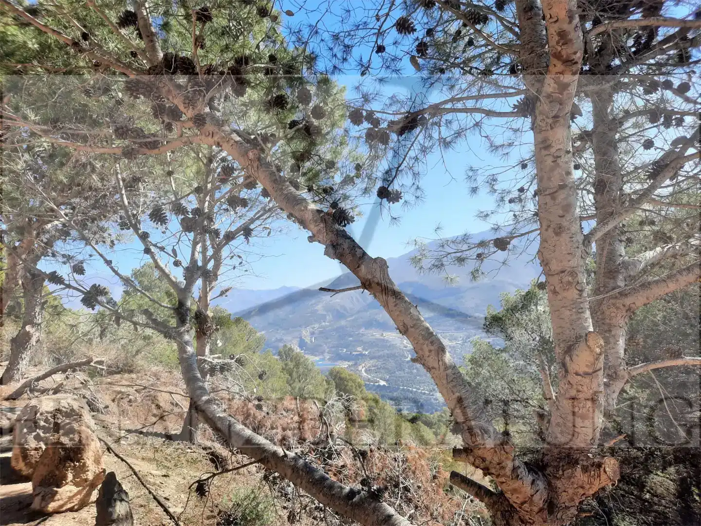 Vista exterior de Casa o xalet en venda en Vélez de Benaudalla amb Balcó