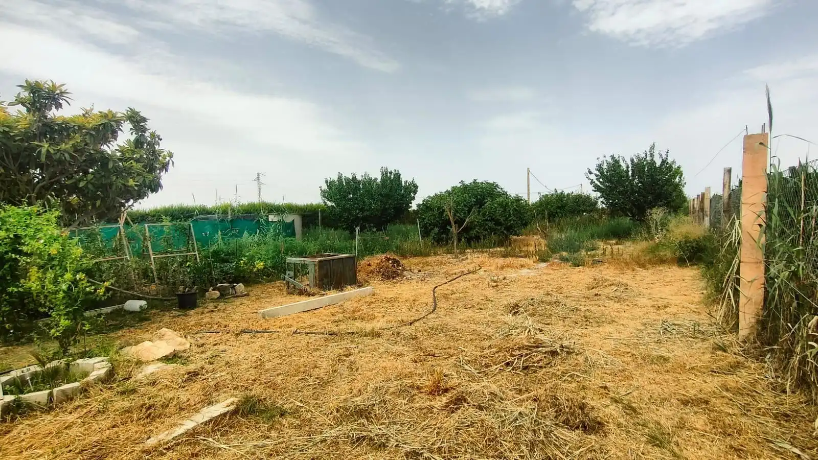 Industrial building for sale in Santa Fe, imagen 11
