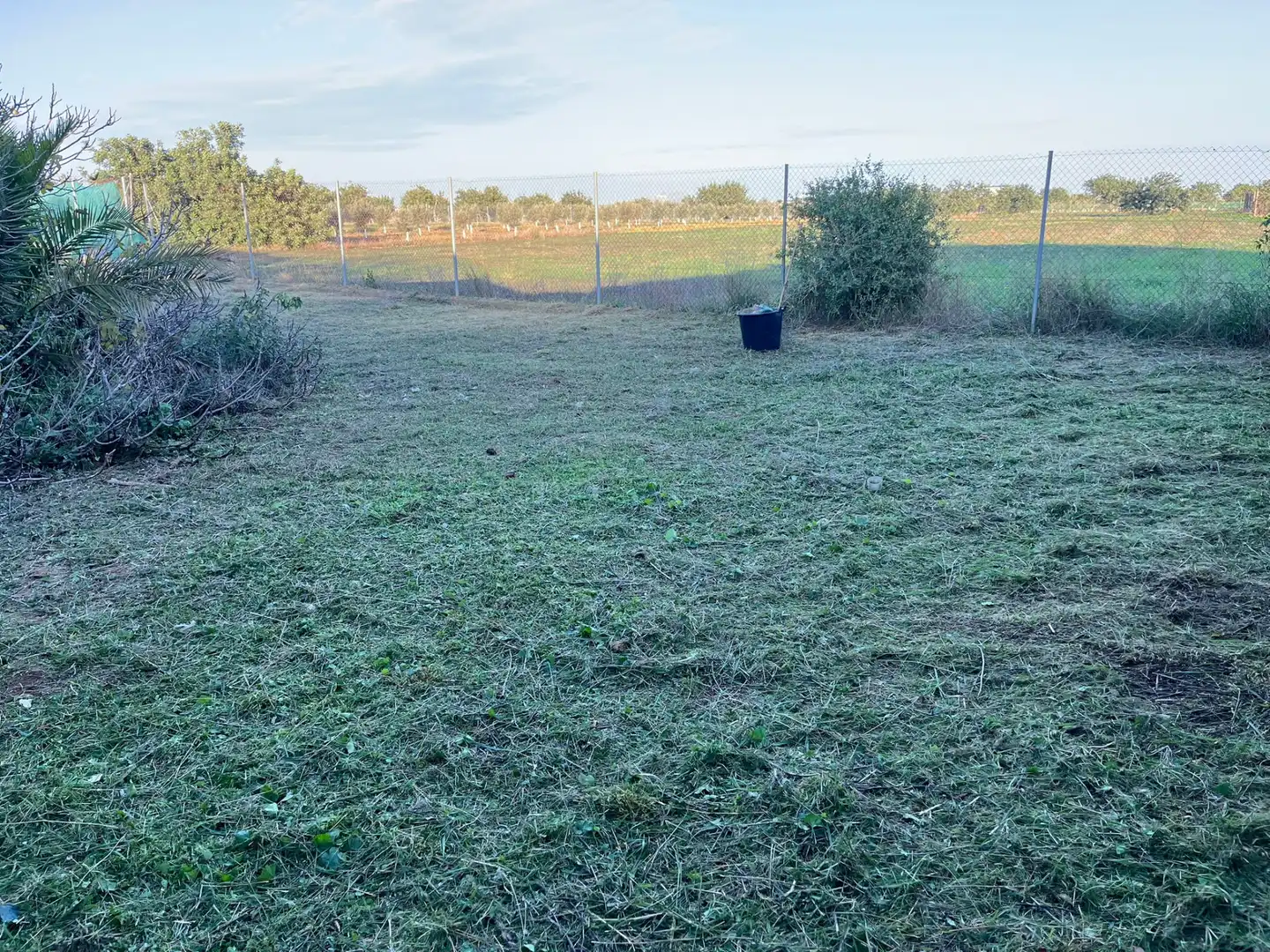 Finca rústica en venta en Pasaje la Ermita, Albujón