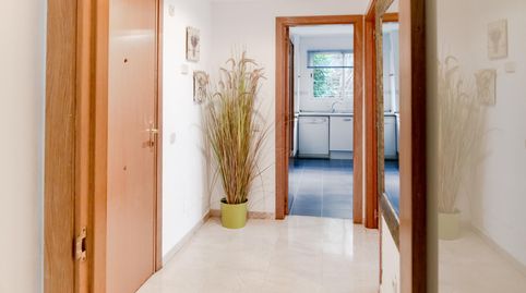 Foto 3 de Planta baja en venta en Les Maravelles, Palma de Mallorca