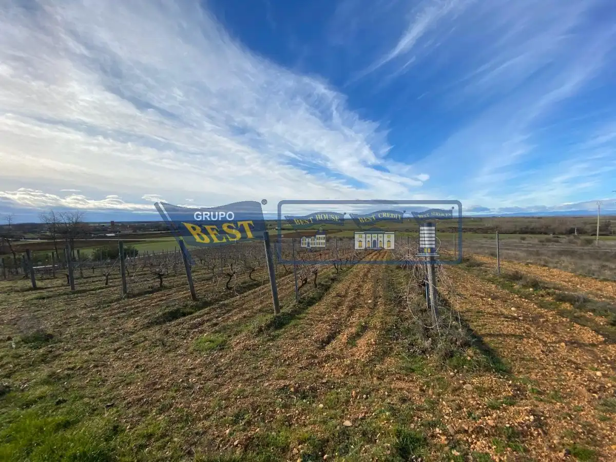 Local en venta en Chozas de Abajo