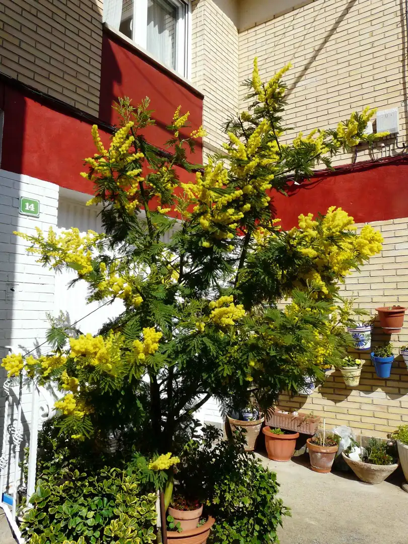 Jardín de Casa adosada en venta en Cascante con Calefacción y Jardín privado