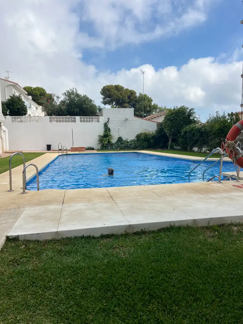 Appartamento con piscina in affitto a Puerto Marina, imagen 17