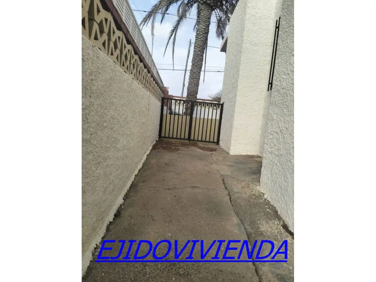 Vista exterior de Casa o chalet en venta en El Ejido con Jardín privado y Terraza