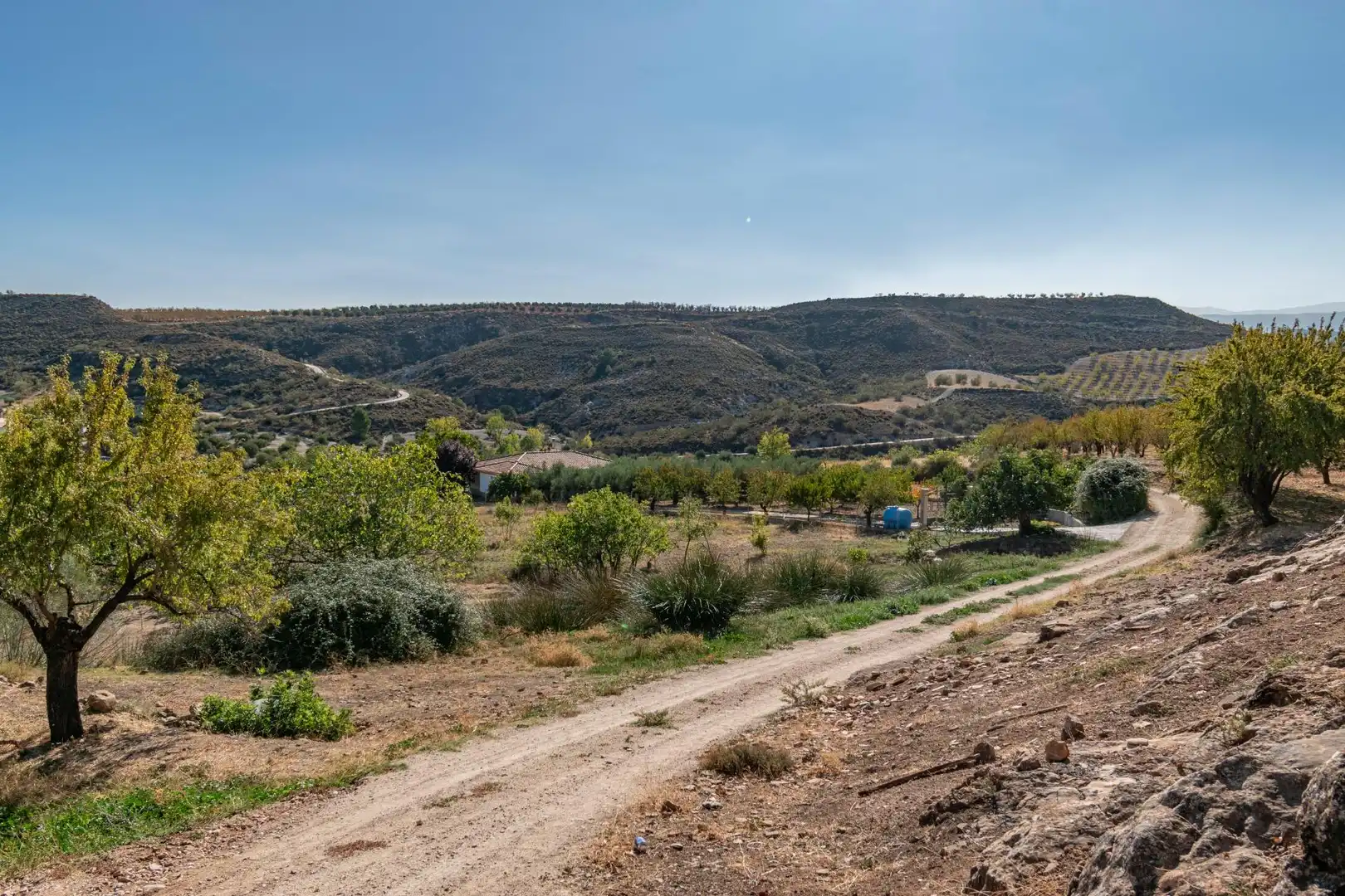Finca rústica en venta en Vereda morollon, La Peza