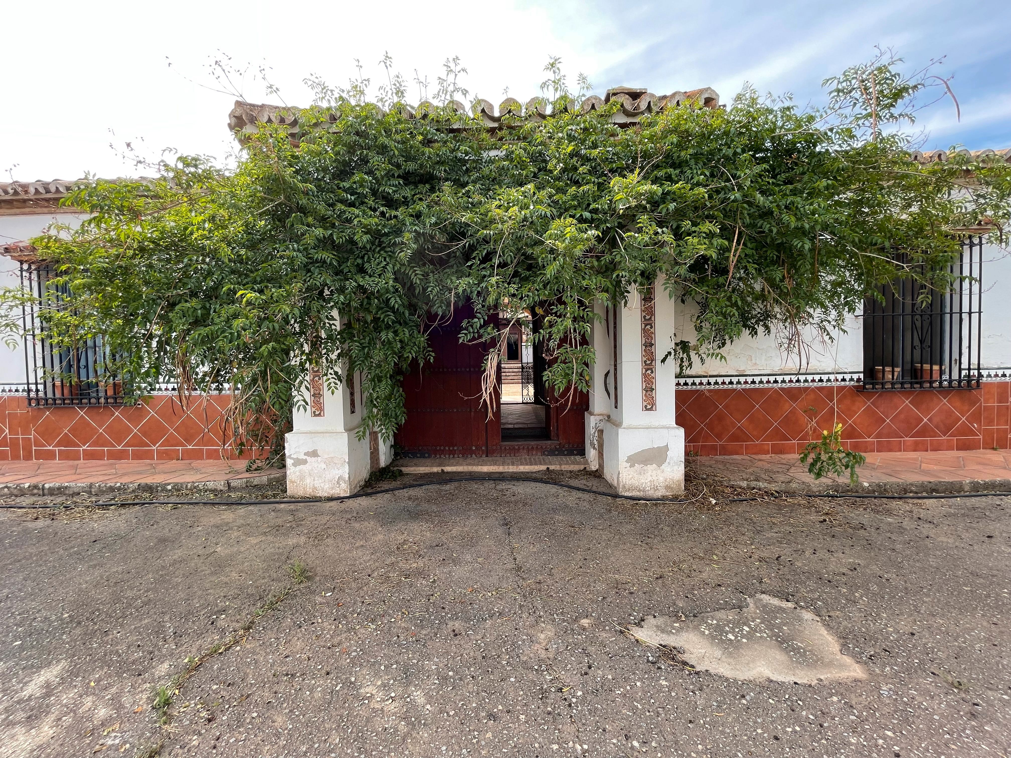 Vista exterior de Finca rústica en venda en Antequera amb Jardí privat, Piscina i Internet