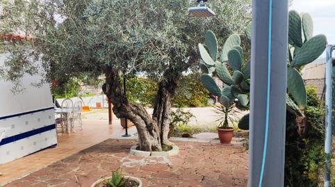 Photo 5 of House or chalet for sale in Favara, Valencia