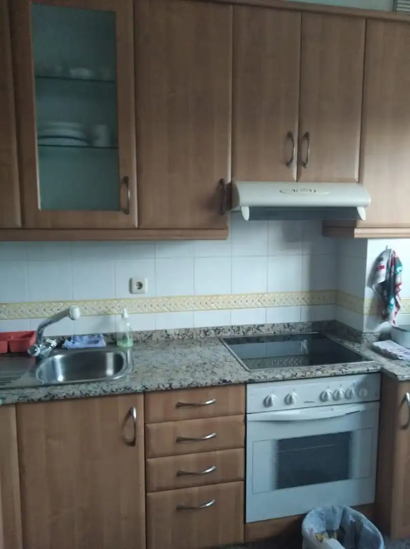 Kitchen of Flat for rent in Santiago de Compostela   with Pets allowed