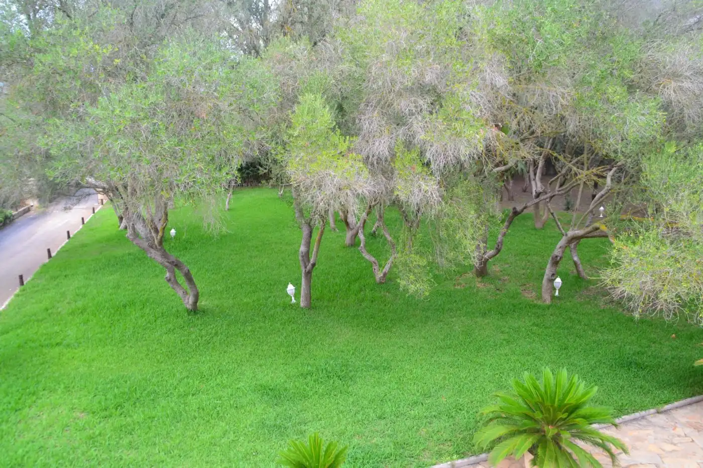 Finca rústica en venta en Son Gual