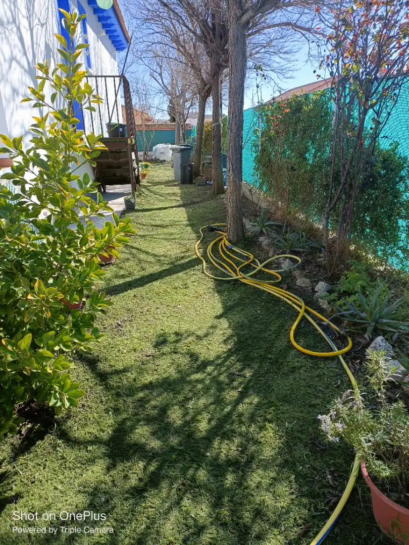 Jardín de Casa o chalet en venta en Burguillos de Toledo con Calefacción, Jardín privado y Amueblado