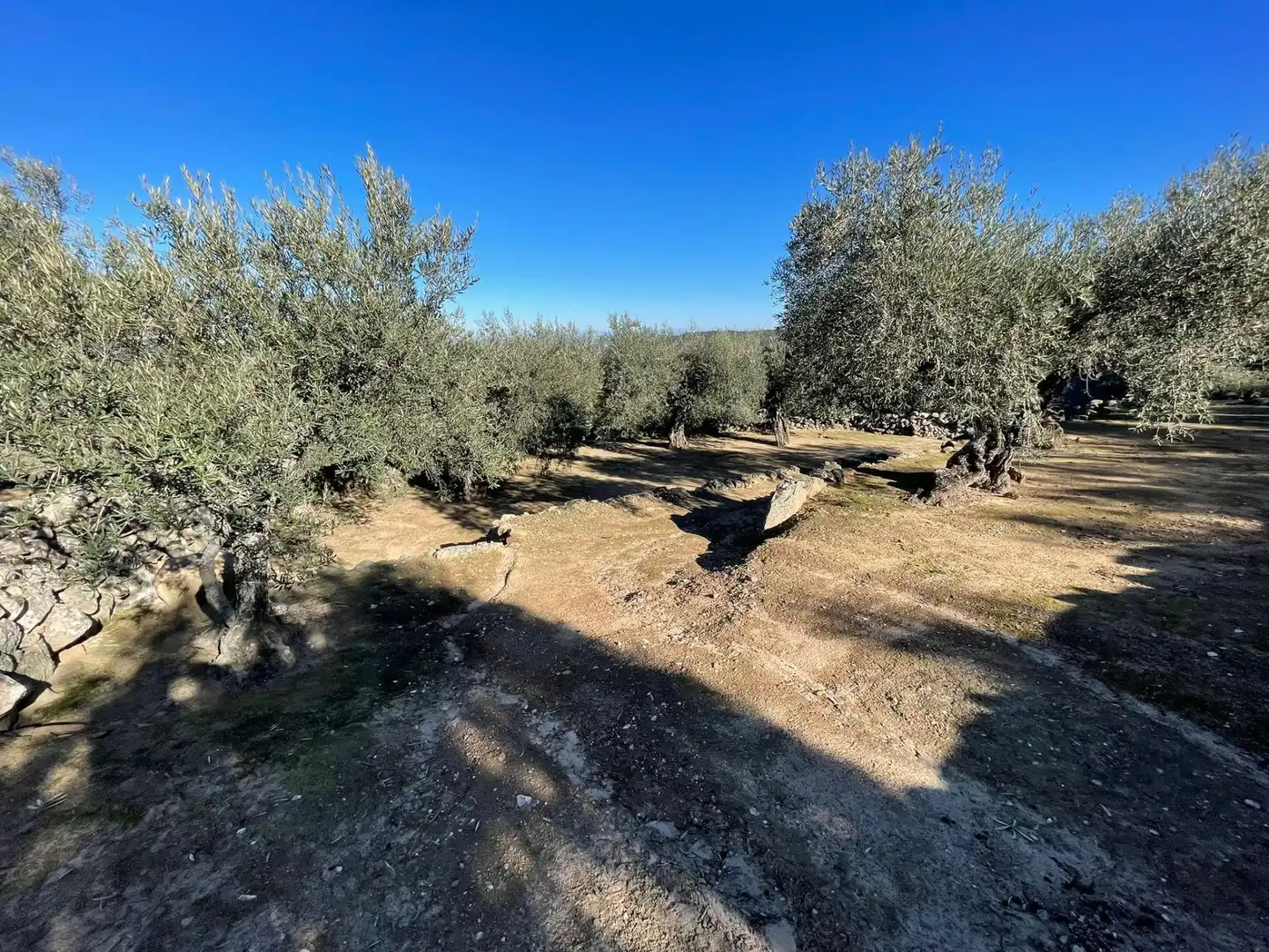 Terreni e lotti in vendita a Montánchez, imagen 15
