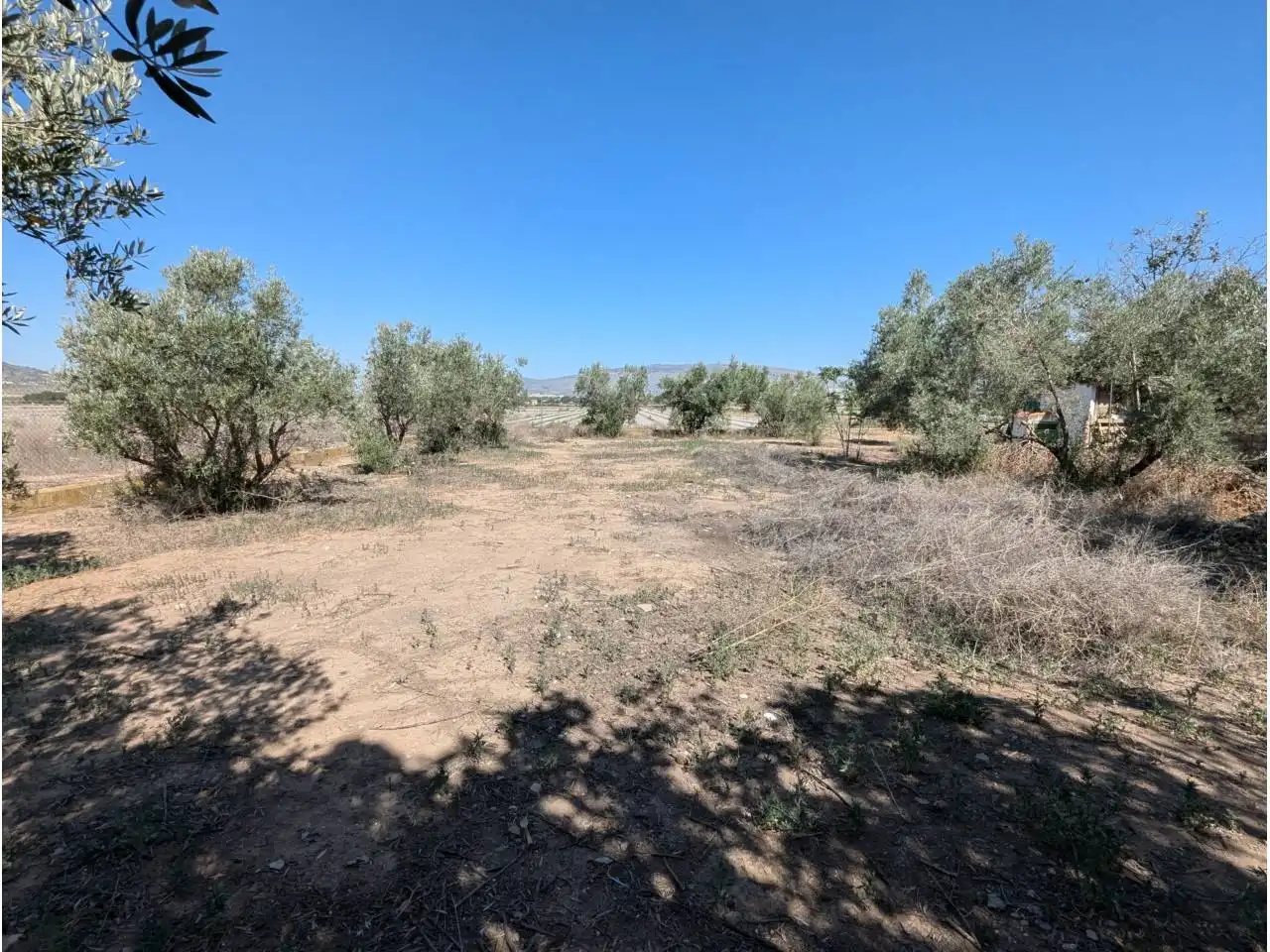 Finca rústica en venta en Caudete con Jardín privado y Piscina