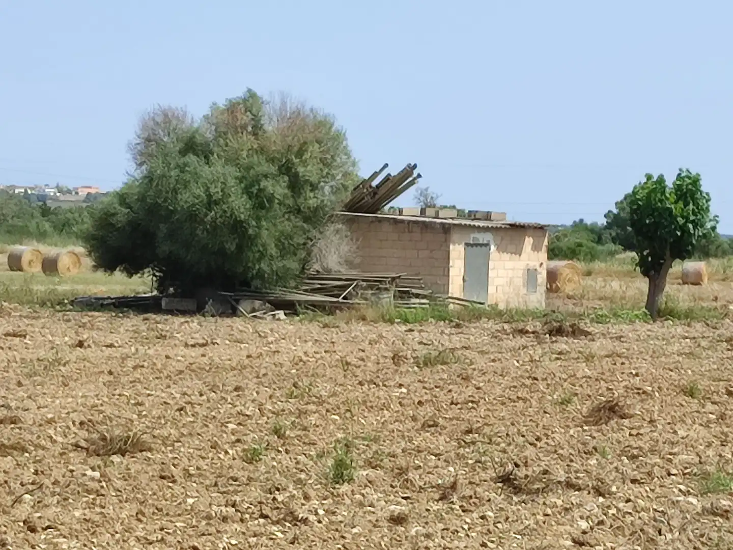 Wohnbaugrundstück zum Verkauf in Petra, imagen 6