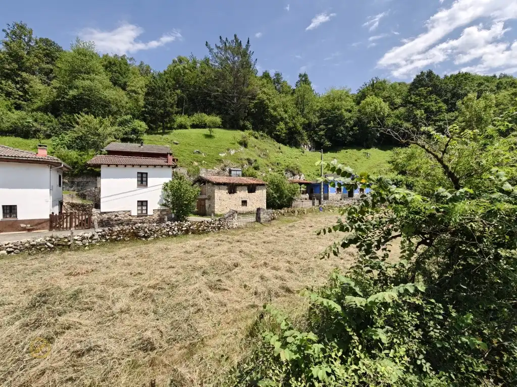 Vista exterior de Casa o chalet en venta en Cangas de Onís