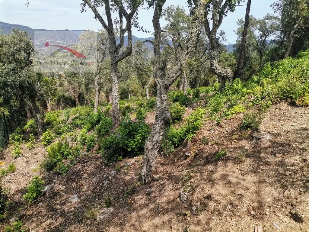 Terreno residencial en venta en Calle Avets 7, imagen 6
