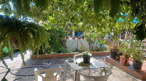 Foto 3 de Finca rústica en venda a Avda Pescia - Ctra de Frigiliana, Málaga