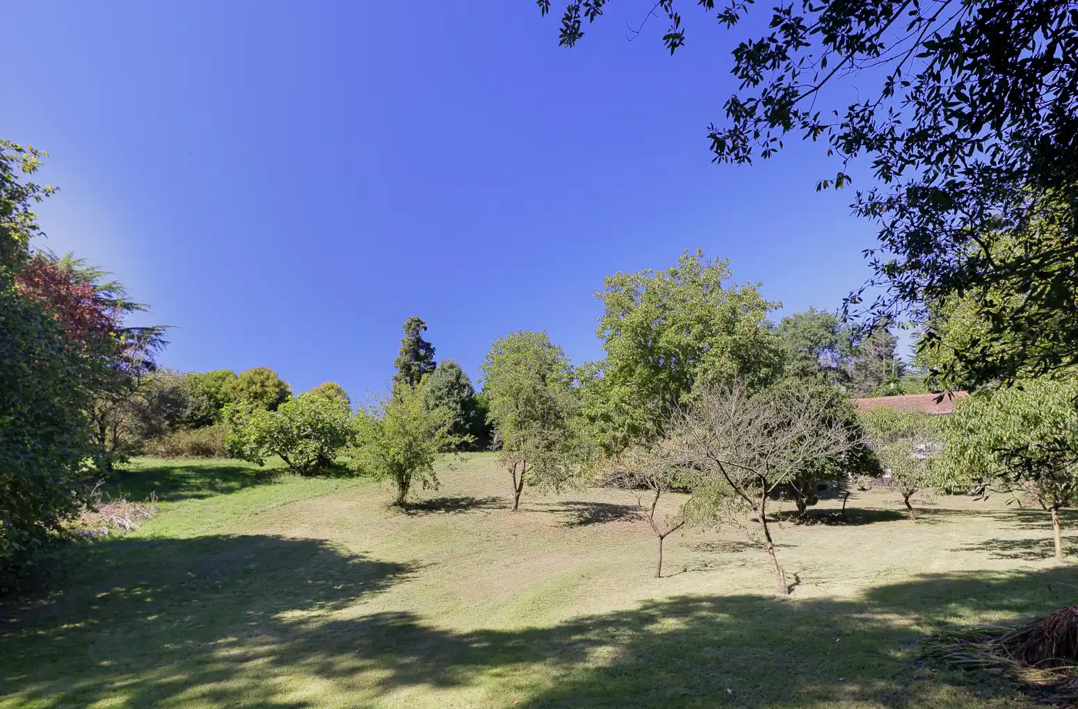 Maison avec jardin à vendre à Gijón - LAURELES, imagen 11