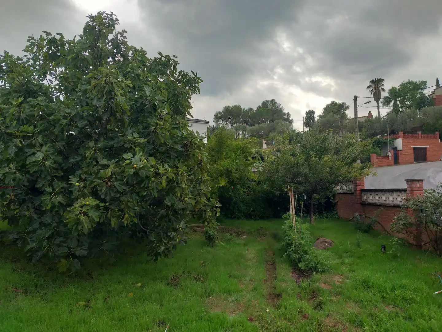 Wohnbaugrundstück zum Verkauf in Montjuic 39, imagen 12