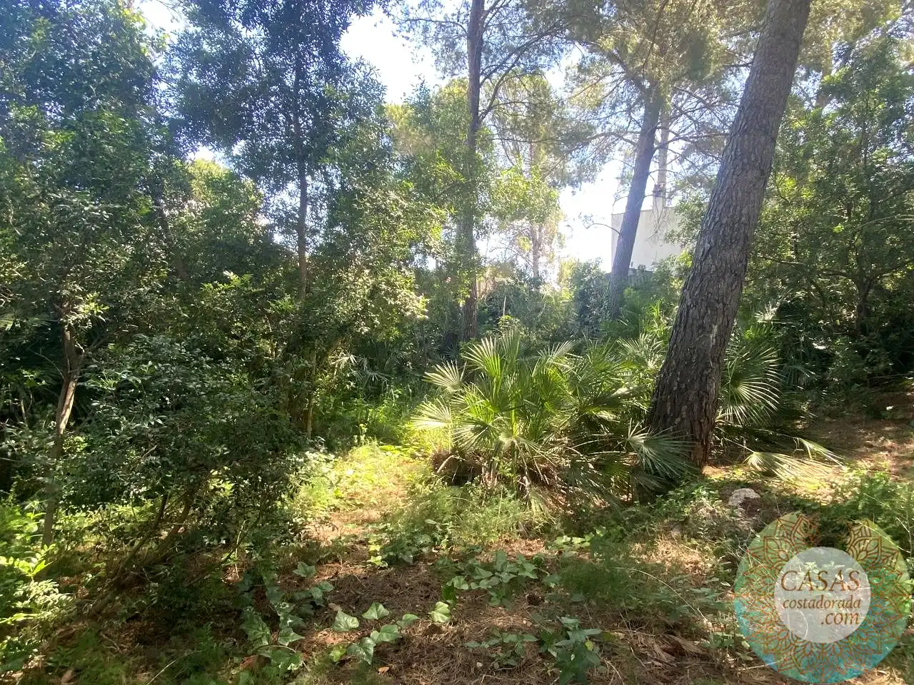 Casa con piscina en venta en Les Tres Cales, imagen 7